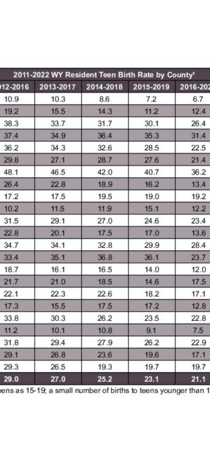 2022ARB08 &ndash; TeenBirthRate