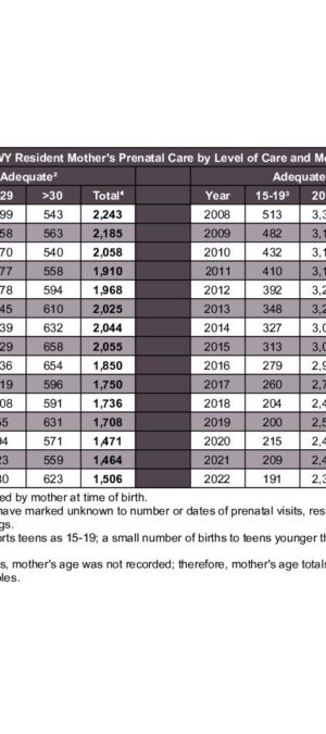 2022ARB15 – PrenatalCare