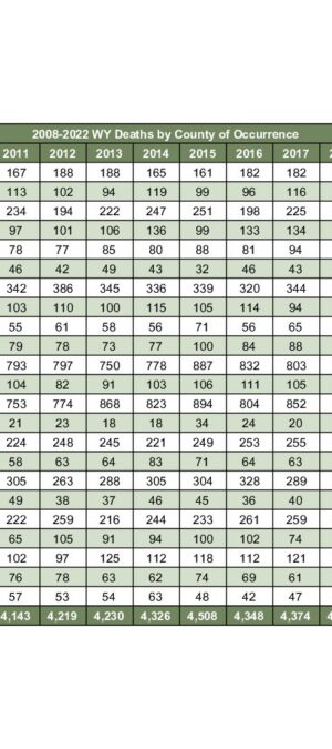 2022ARD03 &ndash; OccDeathCounty