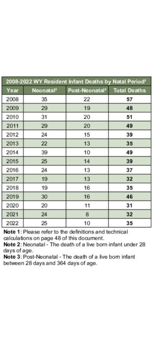 2022ARD04 – InfantDeathByYear