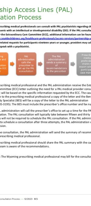 TOOL38-PAL Consultation Process