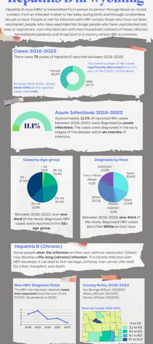 Hep B Infographics Data 2022_December Update