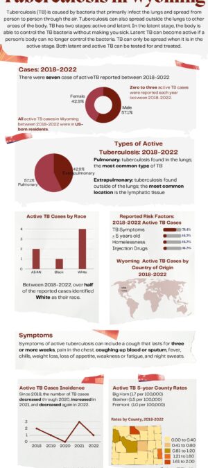 TB Infographics Data 2022_December Update