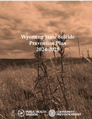 Draft 2024-2028 State Suicide Prevention Plan