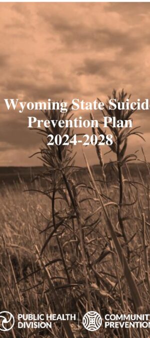 Draft 2024-2028 State Suicide Prevention Plan