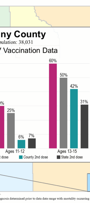 Albany County HPV vax data graphic- 2024