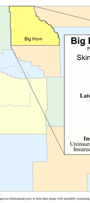 Big Horn County skin data graphic- 2024