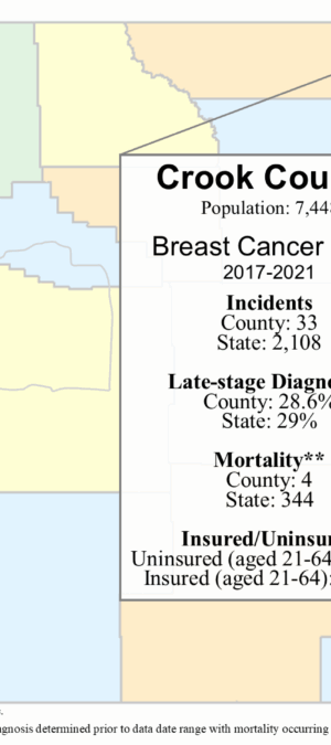 Crook County breast data graphic- 2024