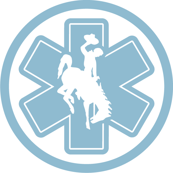 Emergency Medical Services logo
