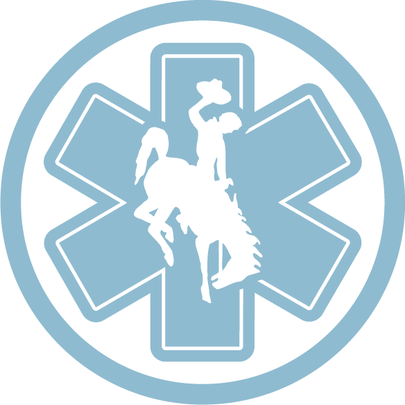 Emergency Medical Services logo