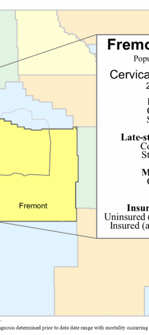 Fremont County cervical data graphic – 2024