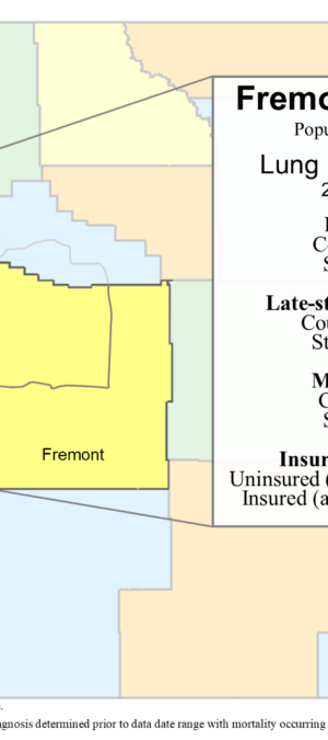 Fremont County lung data graphic &ndash; 2024