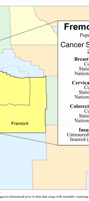 Fremont County screening data graphic – 2024