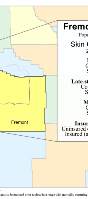 Fremont County skin data graphic &ndash; 2024