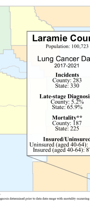 Laramie County lung data graphic- 2024