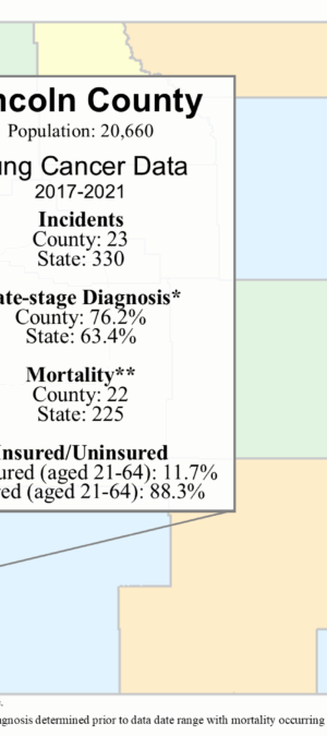 Lincoln County lung data graphic- 2024