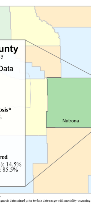 Natrona County lung data graphic- 2024