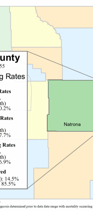 Natrona County screening rate data graphic- 2024