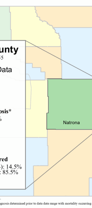 Natrona County skin data graphic- 2024