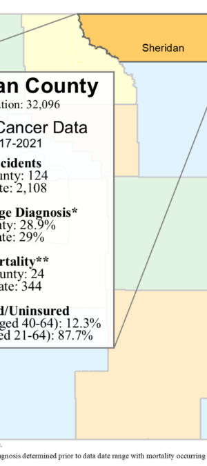 Sheridan County breast data graphic- 2024