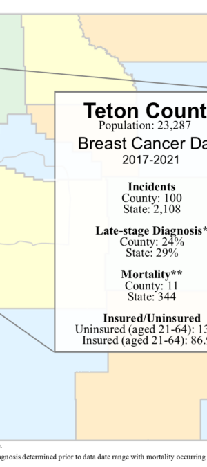 Teton County breast data graphic- 2024