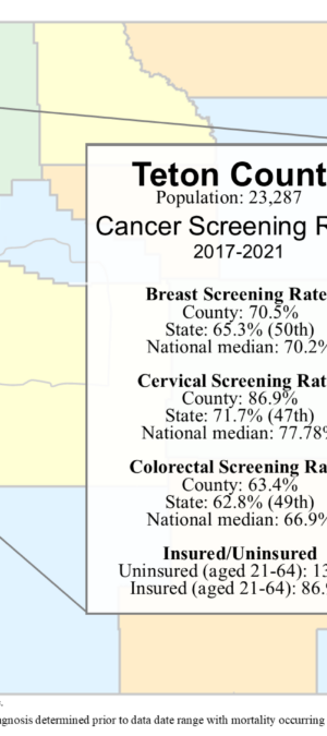 Teton County screening rates data graphic- 2024