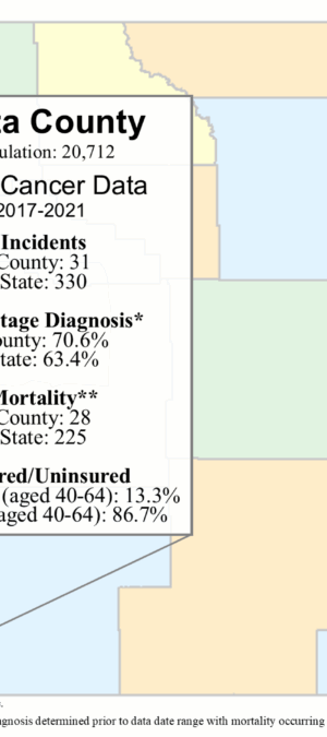 Uinta County lung data graphic- 2024
