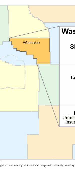 Washakie County skin data graphic- 2024