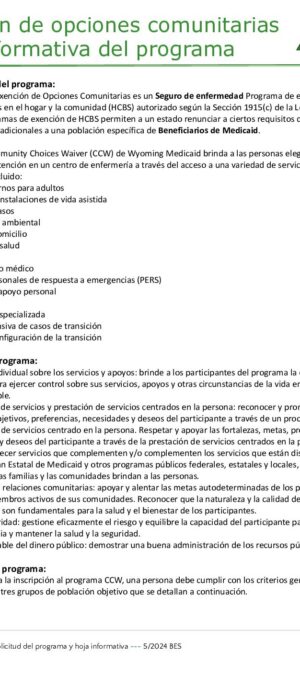 Translated copy of CCW Form 01 – CCW Program Application + Fact Sheet