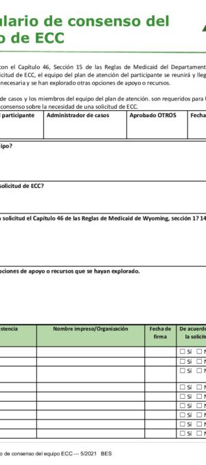 Translated copy of CM33-ECC Team Consensus Form