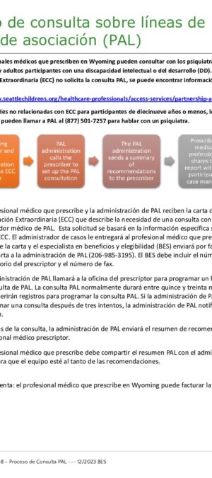 Translated copy of TOOL38-PAL Consultation Process