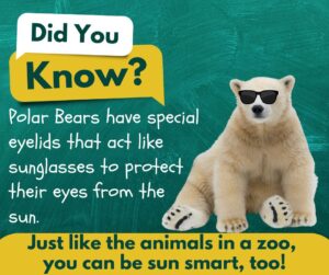 Polar Bear with green background