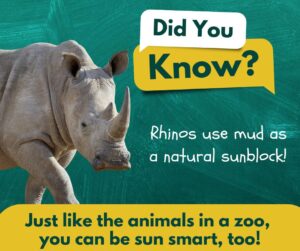 Rhino with green background