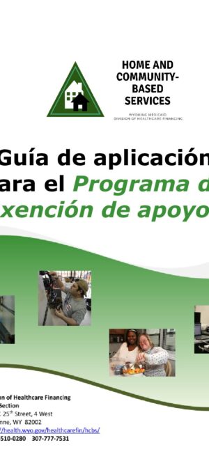 Translated copy of TOOL19-Application Guide for Supports Waiver