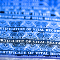 Vital Statistics Services logo