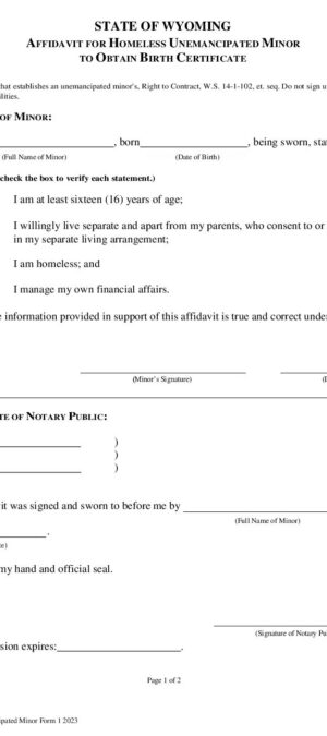 WDH-VSS Affidavit Unemancipated Minor Form 1 2023