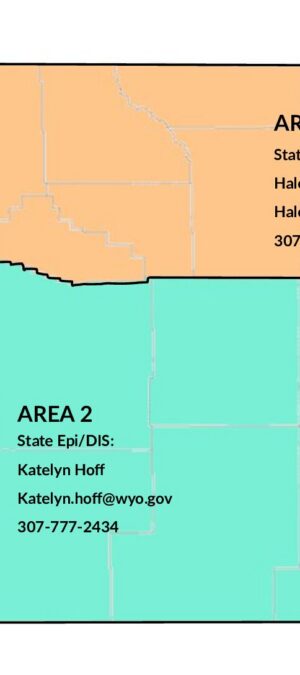 09.02.2025 HIV & STI DIS Map