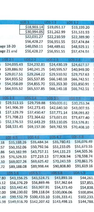Budget rate for LOS effective 9.01.2025