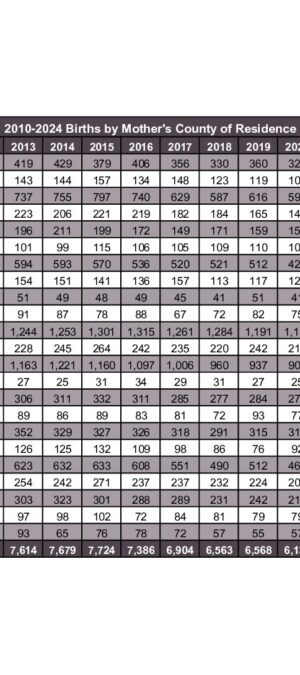 2024ARB01-Res-Births-byCounty