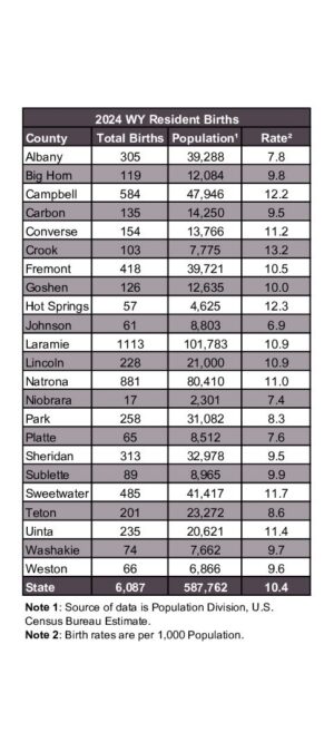 2024ARB02-Res-Birth-Rates-byCounty