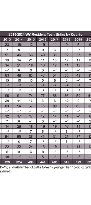 2024ARB07-Teen-Births-byCounty