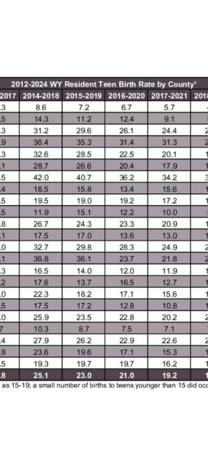 2024ARB08-Teen-BirthRate-byCounty