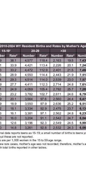 2024ARB09-Births-byMotherAge