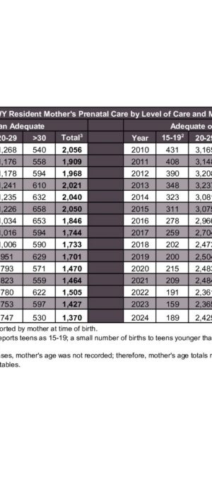 2024ARB15-PrenatalCare