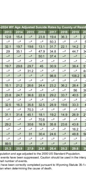 2024ARD09-SuicideByCounty