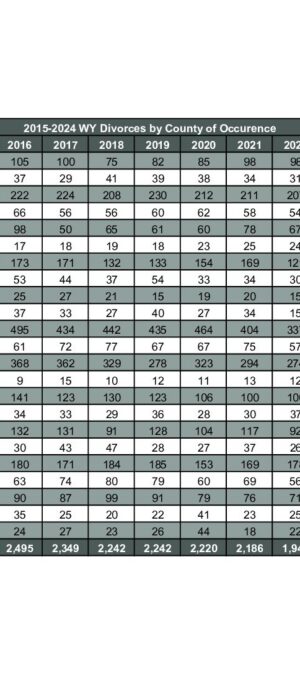 2024ARV01-DivorceCounty