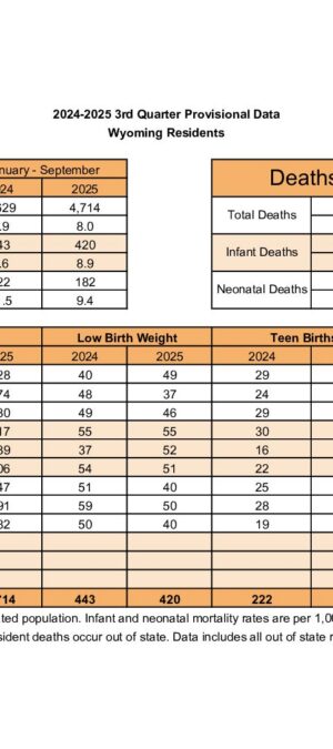 3rd-Quarter-Data-2025-Provisional