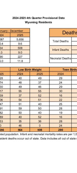 4th-Quarter-Data-2025-Provisional