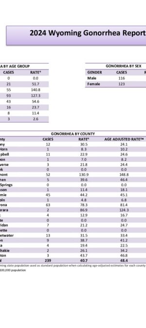 2. Updated Reconciled GonorrheaRates2024_Final