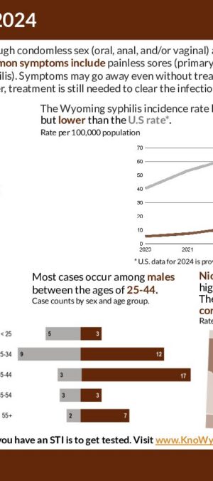 2024 CDU Infographics Syphilis.pptx